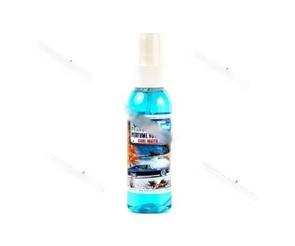 Ароматизатор FOUETTE Perfume Voyager спрей cool water 110мл PV-2