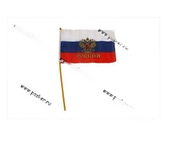 Флаг Россия 23х16 с флагштоком