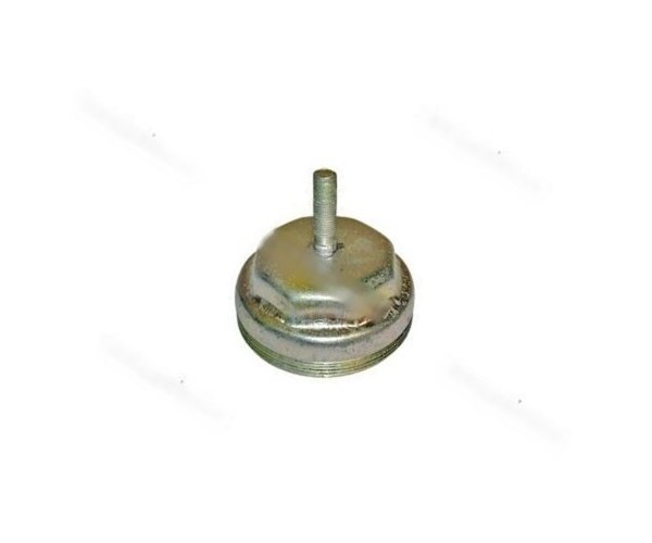 Колпак ступицы     24/31/2410-3103063