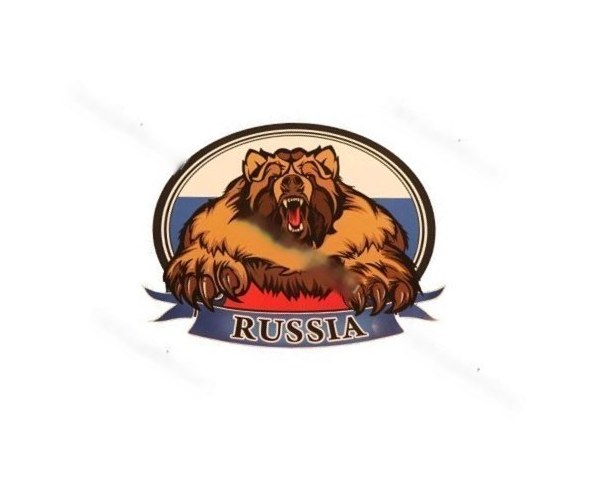 Наклейка RUS медведь 10x14см
