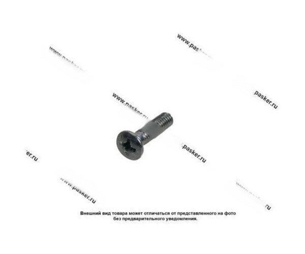 Винт М4х16 крепления щет узла стартера 2101-07/зеркала бокового 2108