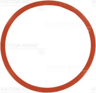 Прокладка впуск.коллектора BMW M47/M57/N57