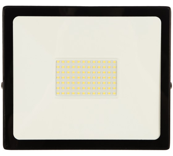 Прожектор светодиодный SMARTBUY 100W/6500K/IP65 (SBL-FLLIGHT-100-65K)