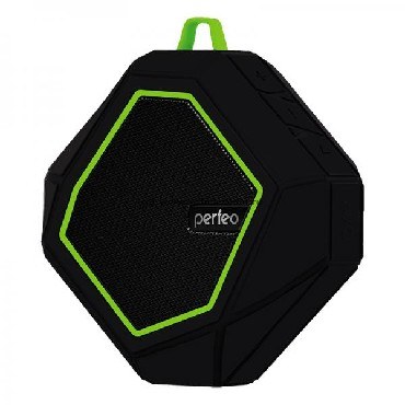 Акустика портативная PERFEO PF-5208 TRIBUTE черный