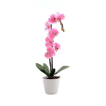 СТАРТ LED Орхидея2 розовый