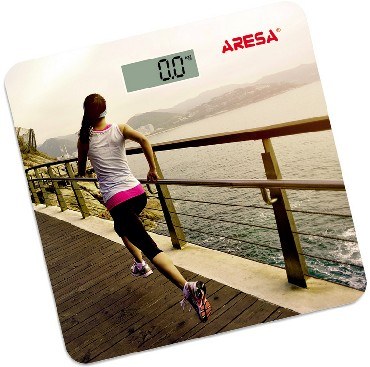 Весы ARESA SВ-312(4405)