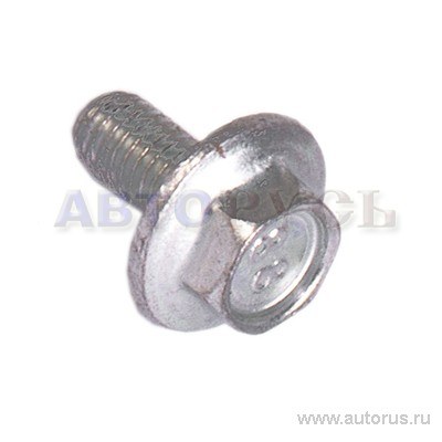 Болт M5x10 с зуб буртиком, 00001003833171 БелЗАН 00001-0038331-218