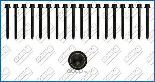 Комплект болтов ГБЦ NISSAN/RENAULT mot.2,5DCI AJUSA 81031000