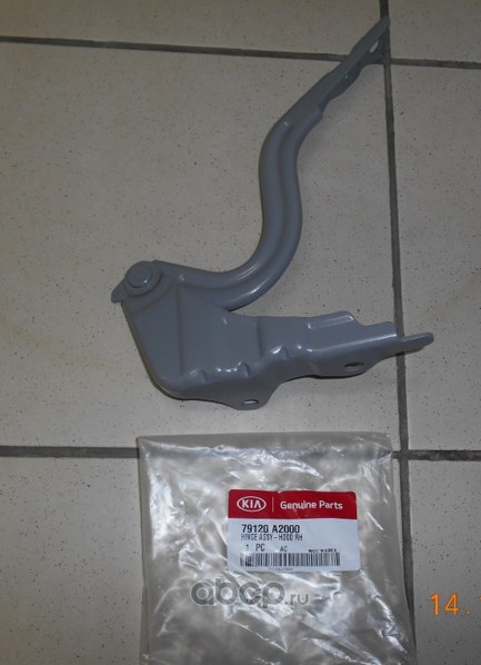 Петля капота R HYUNDAI/KIA 79120-A2000