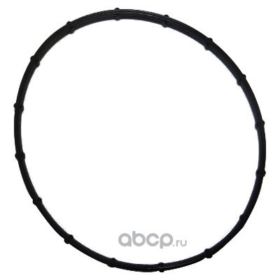 Пpокладка насоса CITROEN/PEUGEOT 455623