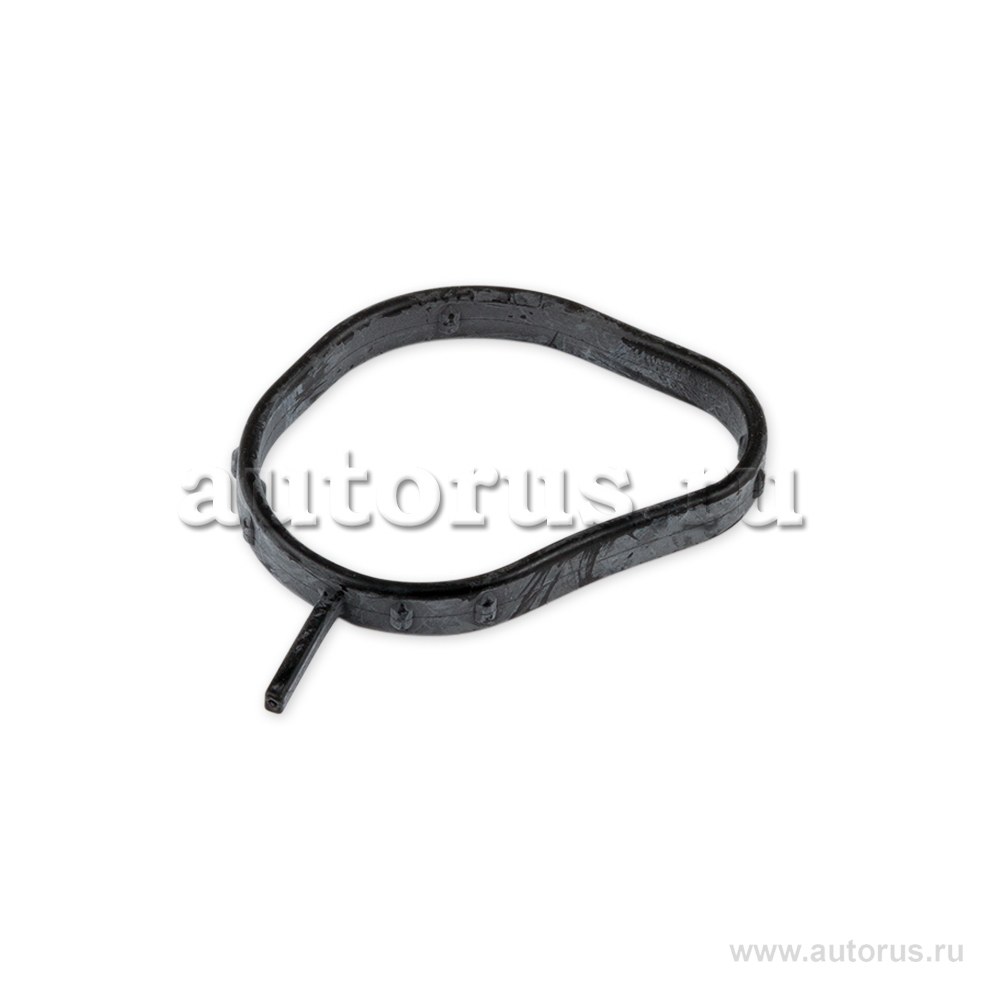 Прокладка корпуса термостата FORD Fusion 1 557 898