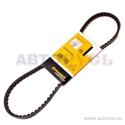 Ремень клиновой CONTITECH 10X875