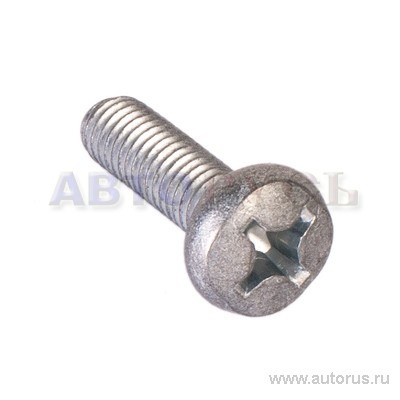 Винт 6x20 поручня БелЗАН 00001-0032764-018