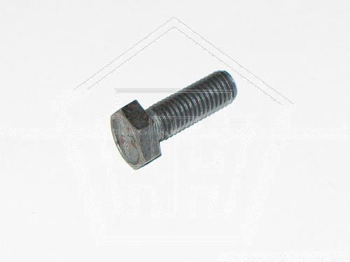 Болт М8*1,25*25 шаровой ВАЗ 2101 кл пр 10 (00001-0060436-308)