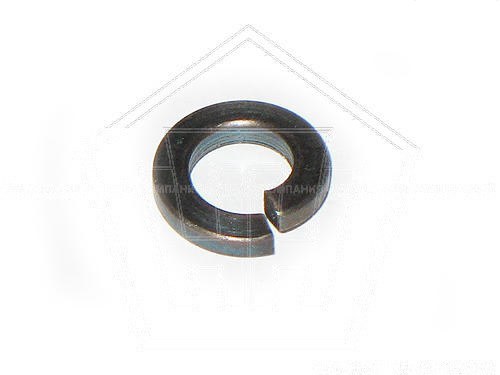 Шайба 8 гроверная d8 (2101-0005166-70)