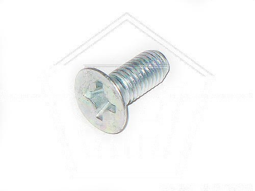 Винт М8*1,25*20 крепления петли двери 2101 БелЗАН (кл.проч. 5,8)